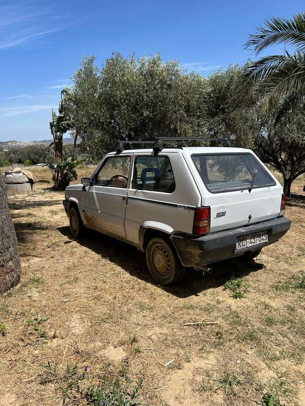 Usato 1990 Fiat Panda 0.8 Benzin 34 CV (550 €)