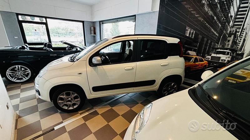 Usata Fiat Panda 4x4 2016 Bianco Utilitaria