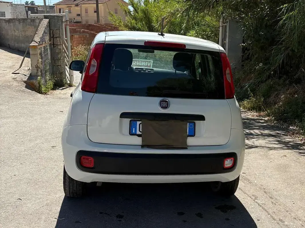 Usata Fiat Panda S 69 CV (50 kW) 2021 Bianco Utilitaria
