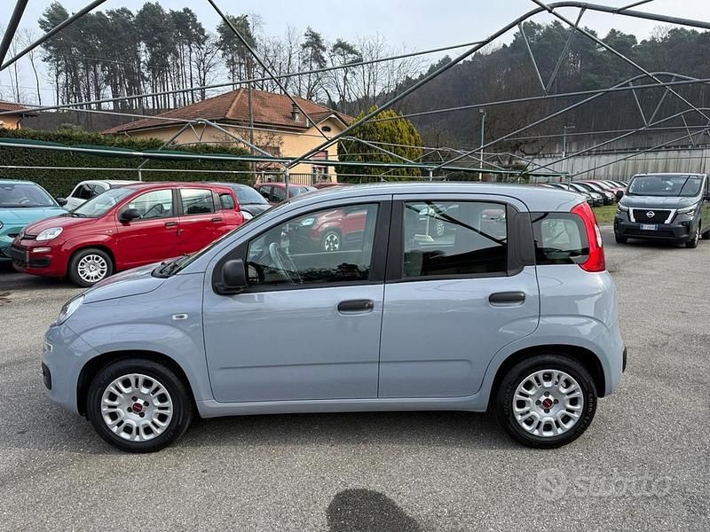 Usata Fiat Panda S 70 CV (51 kW) 2022 Grigio Utilitaria