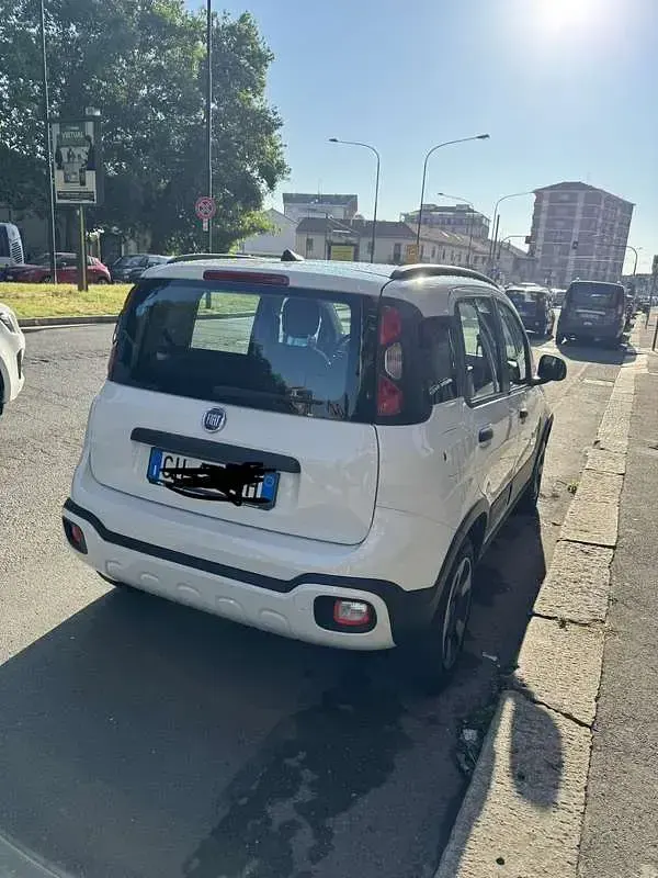 Usata Fiat Panda Cross Cross 69 CV (50 kW) 2022 Utilitaria