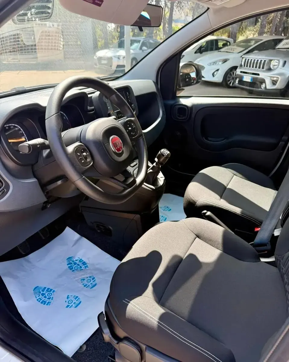 Usata Fiat Panda S 69 CV (50 kW) 2024 Bianco Utilitaria