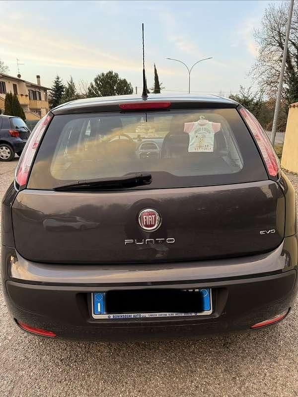 Usata Fiat Punto Evo Active 65 CV (47 kW) 2009 Utilitaria
