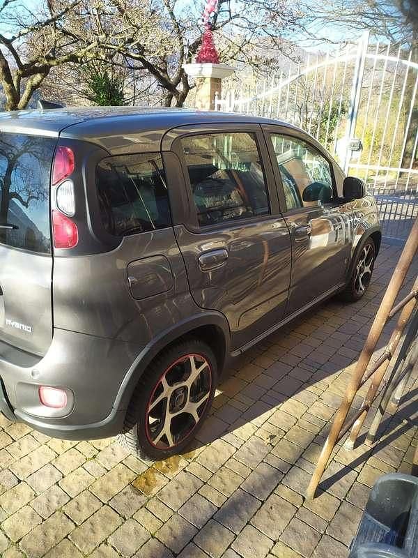 Usata Fiat Panda Sport 69 CV (50 kW) 2021 Utilitaria