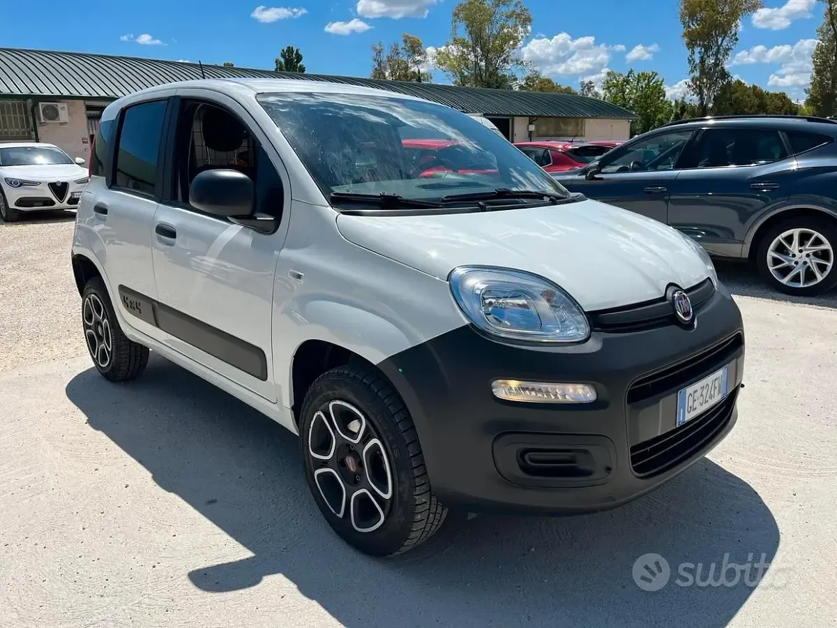 Usata Fiat Panda 4x4 Pop 85 CV (62 kW) 2021 Bianco Utilitaria