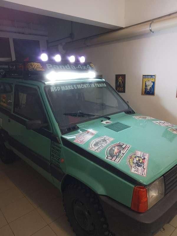 Usata Fiat Panda 4x4 Climbing 54 CV (39 kW) 2003 Utilitaria