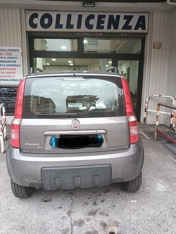Usata Fiat Panda 4x4 Climbing 69 CV (50 kW) 2012 Grigio Utilitaria