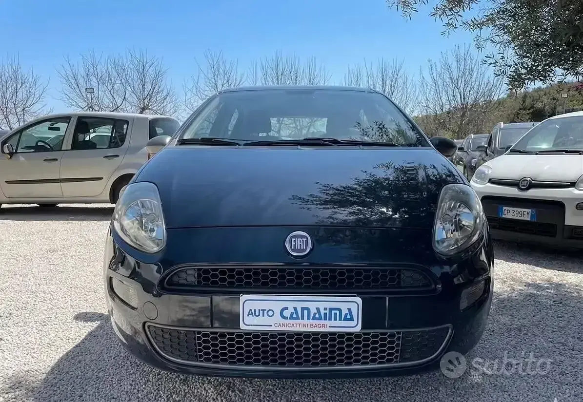 Usata Fiat Punto Evo 77 CV (56 kW) 2015 Bluazzurro Utilitaria