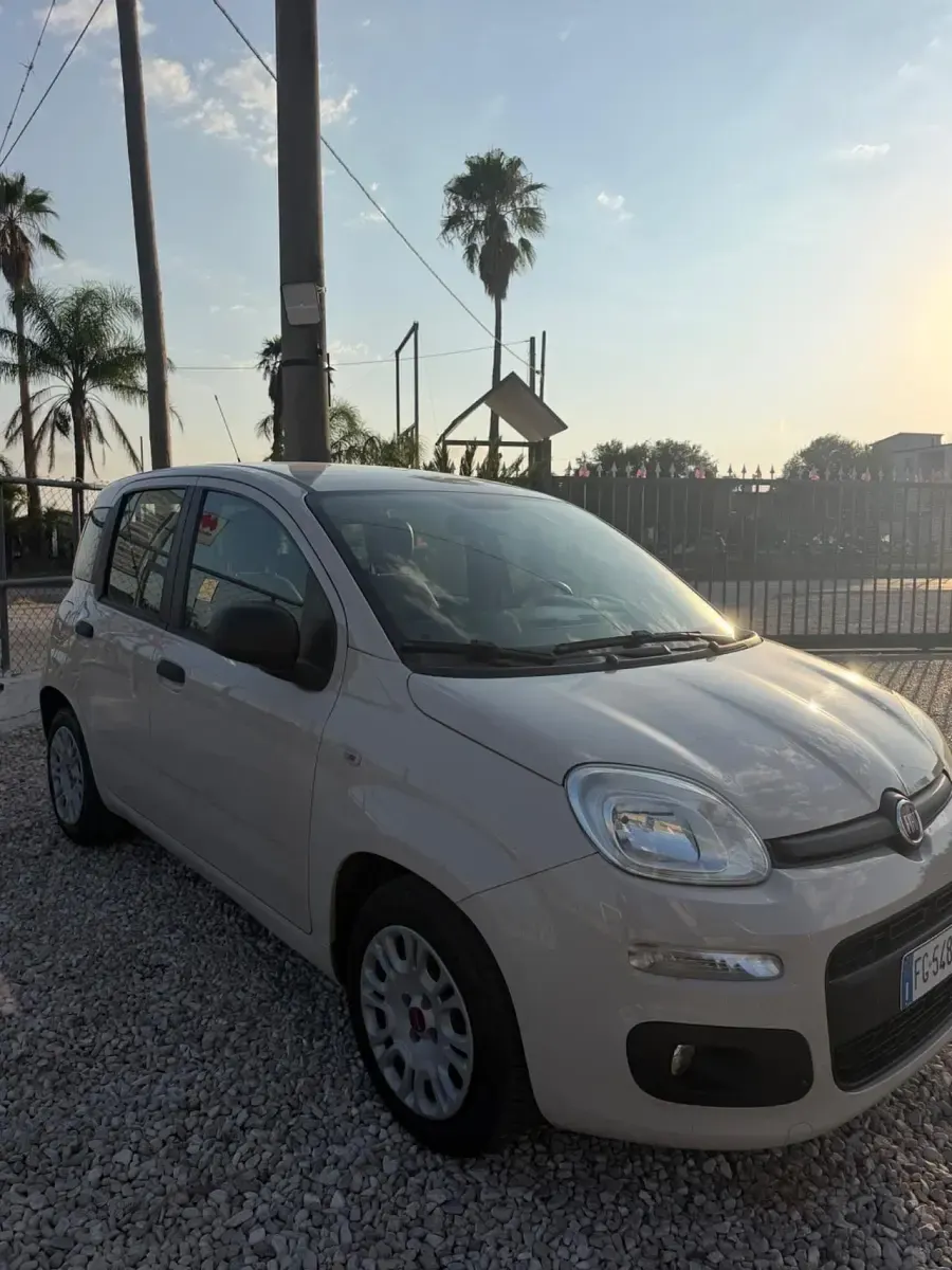 Usata Fiat Panda Lounge 69 CV (50 kW) 2017 Beige Utilitaria