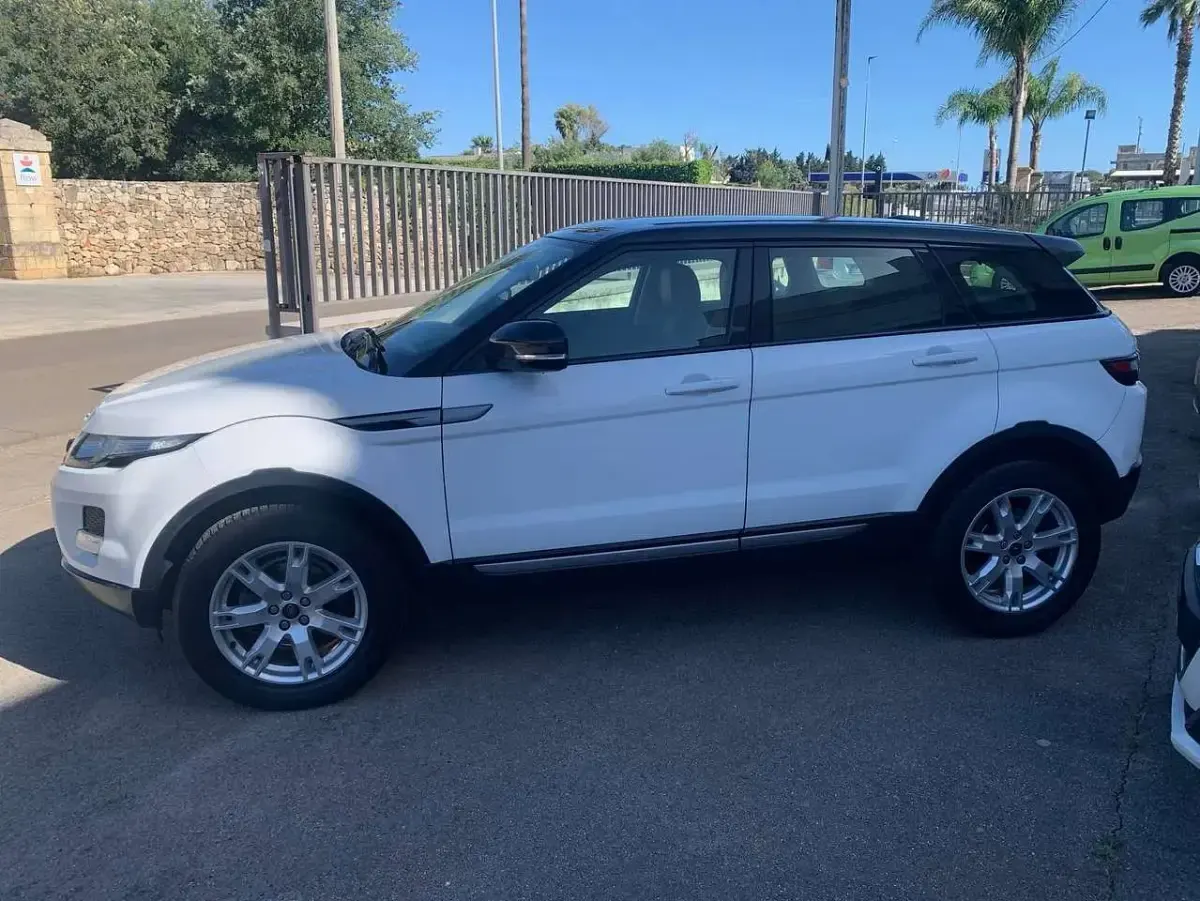 Usata Land Rover Range Rover evoque Dynamic 150 CV (110 kW) 2013 Bianco SUV