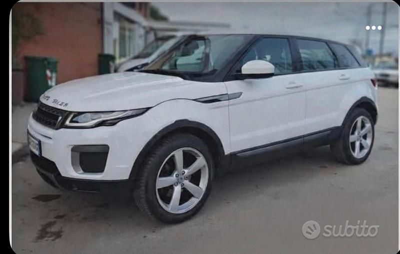 Usata Land Rover Range Rover evoque 150 CV (110 kW) 2016 Bianco SUV