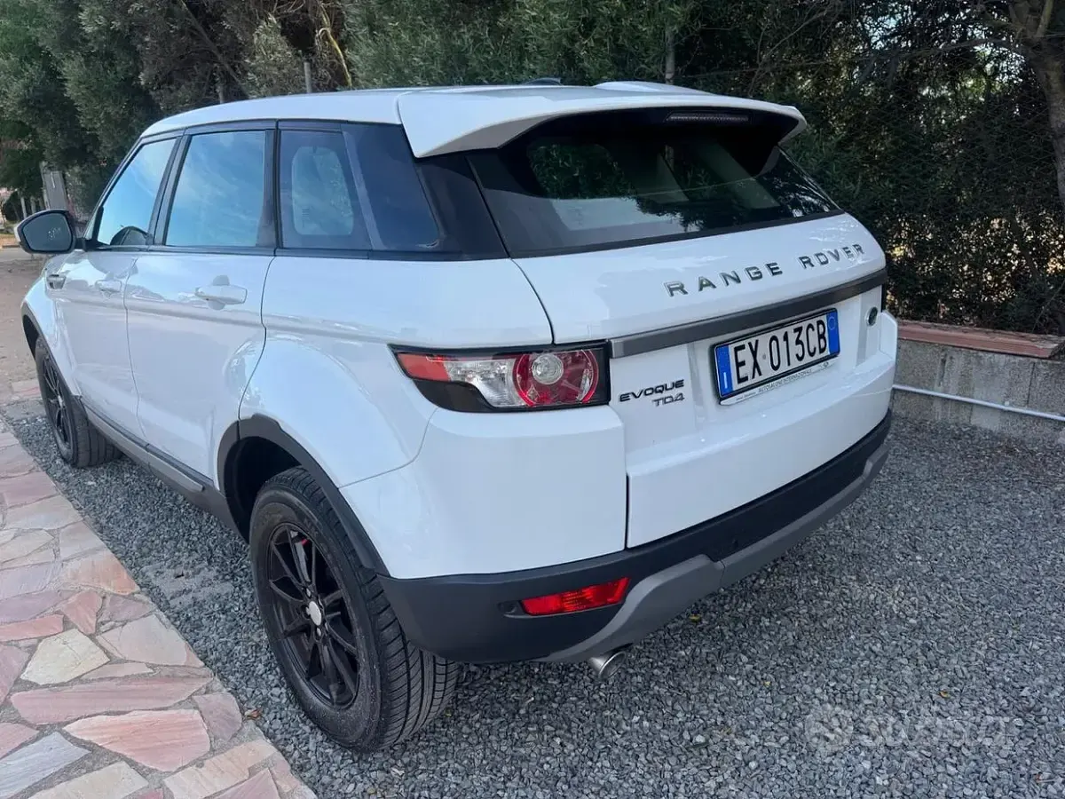 Usata Land Rover Range Rover evoque Pure 150 CV (110 kW) 2014 Bianco SUV