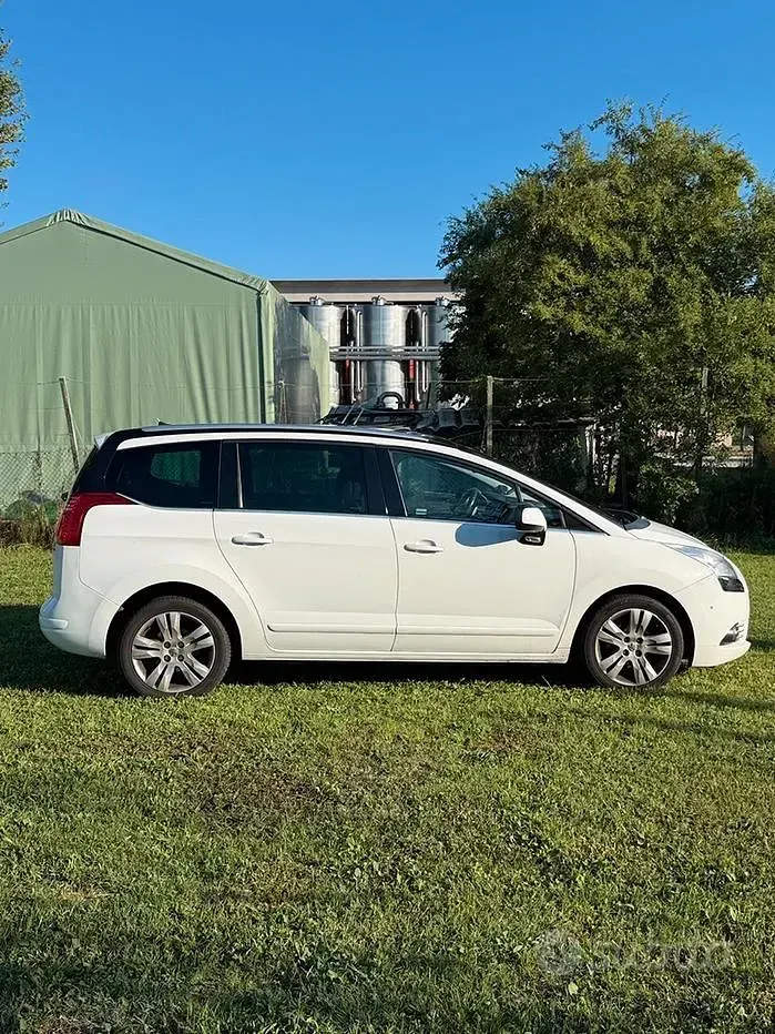Usata Peugeot 5008 115 CV (84 kW) 2013 Bianco Monovolume