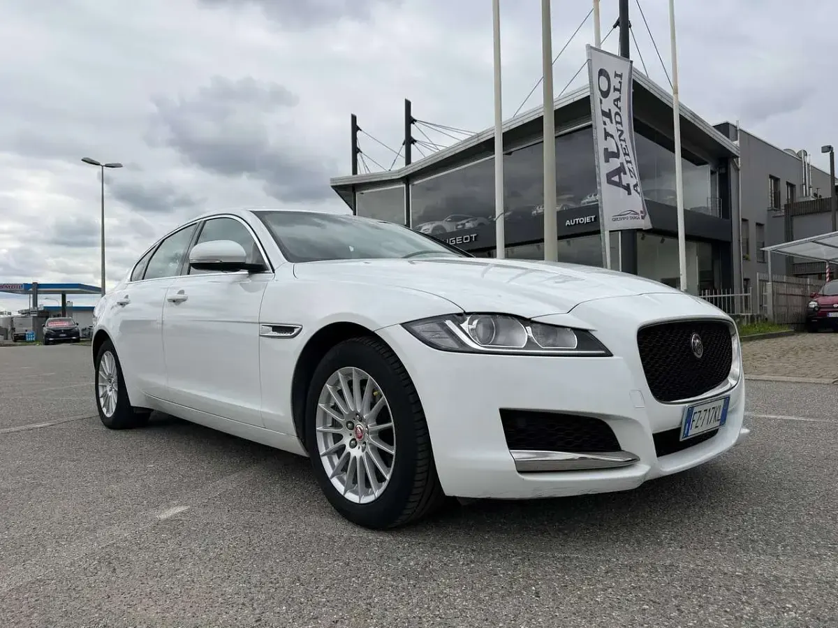 Usata Jaguar XF Pure 250 CV (183 kW) 2019 Bianco Berlina