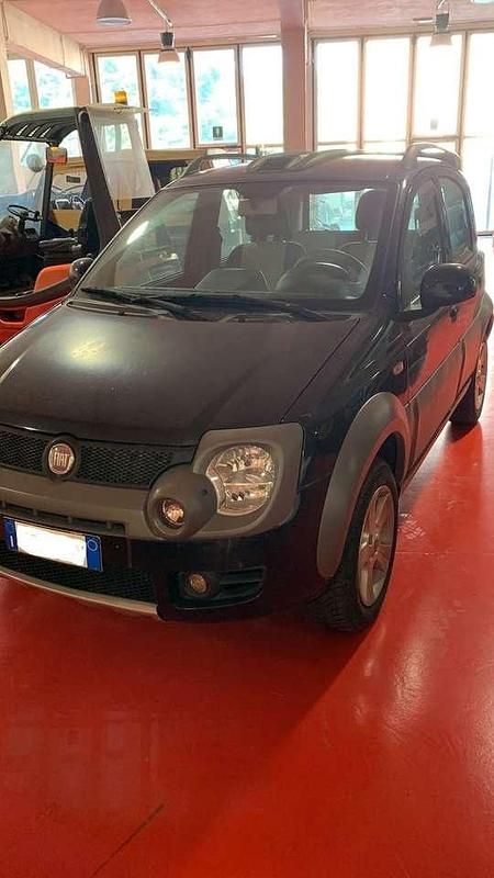 Usata Fiat Panda 4x4 Cross 75 CV (55 kW) 2011 Verde / metallizzato Utilitaria