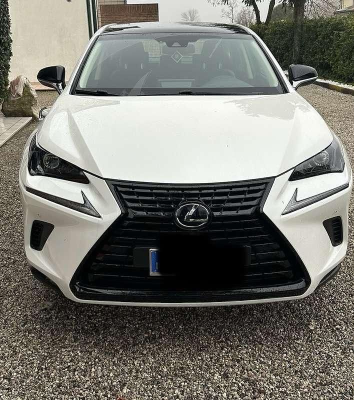 Usata Lexus NX300h 155 CV (114 kW) 2019 SUV