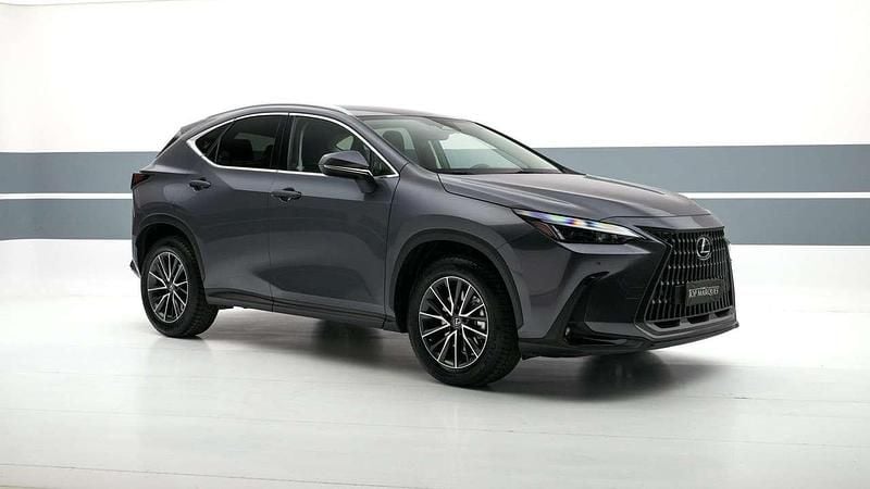Usata Lexus NX350h 190 CV (139 kW) 2023 Antracite SUV