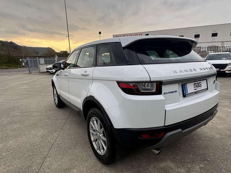Usata Land Rover Range Rover evoque Pure 150 CV (110 kW) 2016 Bianco SUV