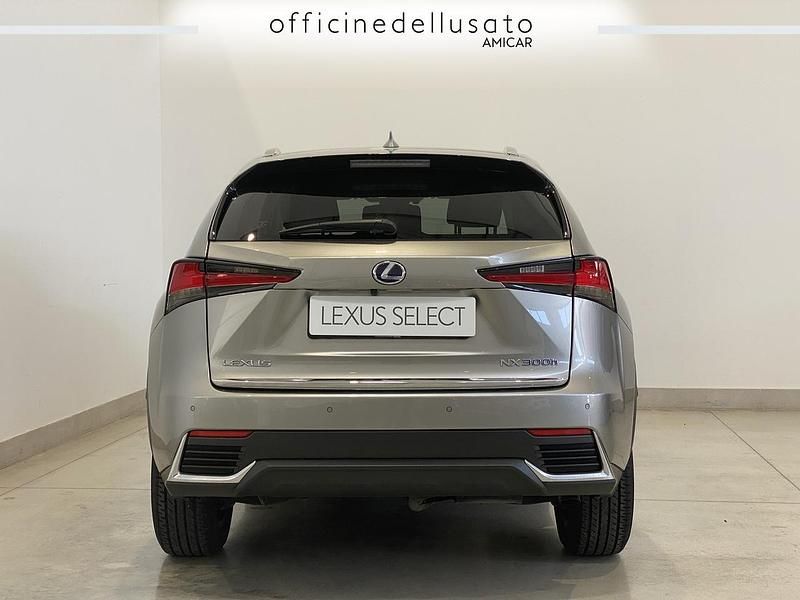 Usata Lexus NX300 197 CV (144 kW) 2021 SUV