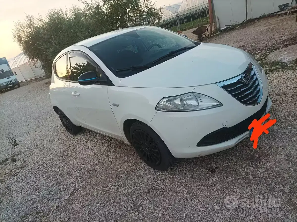 Usata Lancia Ypsilon 69 CV (50 kW) 2013 Bianco Utilitaria