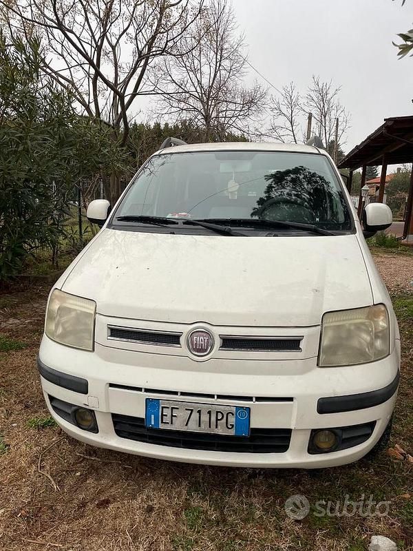 Usata Fiat Panda 77 CV (56 kW) 2010 Bianco Utilitaria