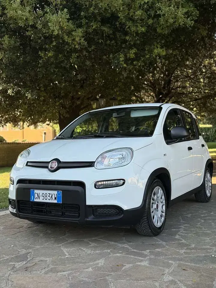 Usata Fiat Panda S 69 CV (50 kW) 2023 Bianco Utilitaria
