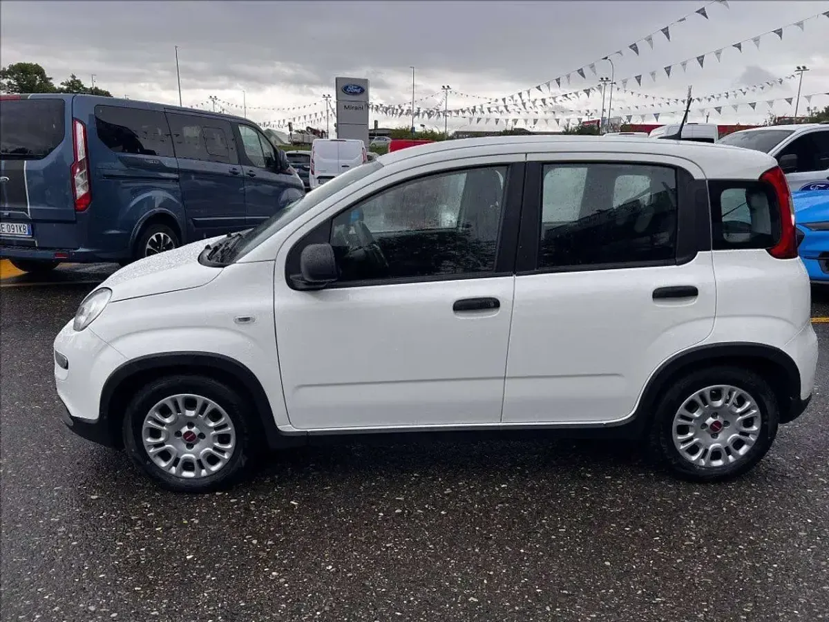 Usata Fiat Panda S 69 CV (50 kW) 2023 Bianco Utilitaria