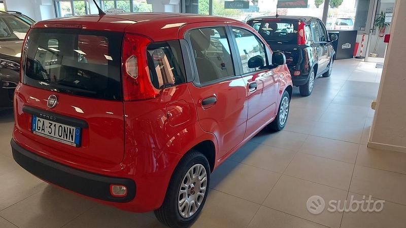 Usata Fiat Panda Easy 69 CV (50 kW) 2020 Rosso Berlina