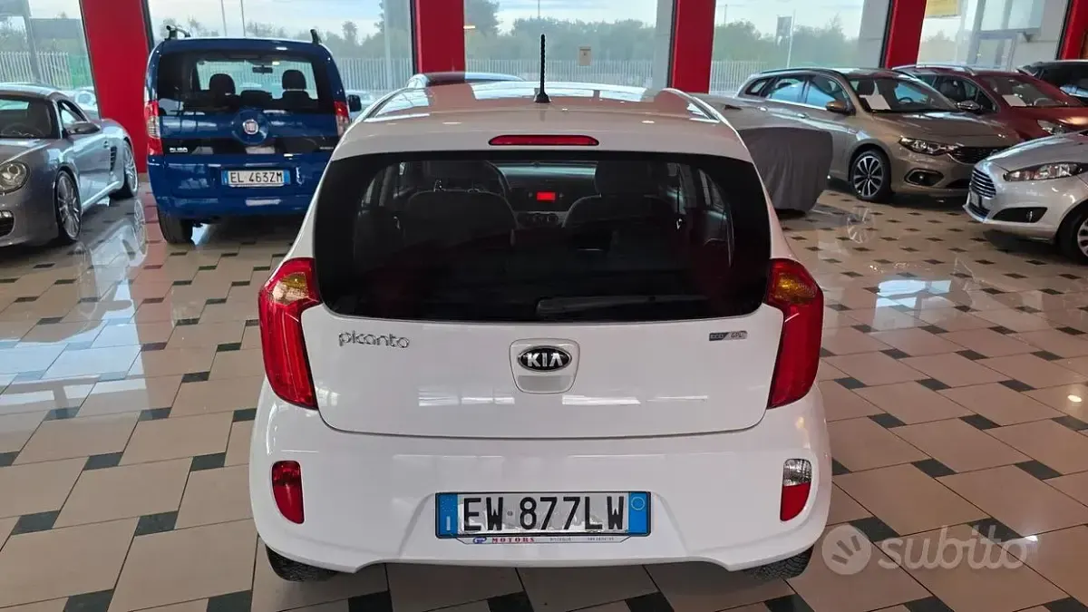 Usata Kia Picanto 67 CV (49 kW) 2014 Bianco Utilitaria