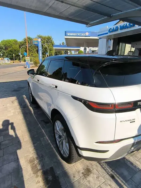 Usata Land Rover Range Rover evoque 150 CV (110 kW) 2020 Bianco SUV
