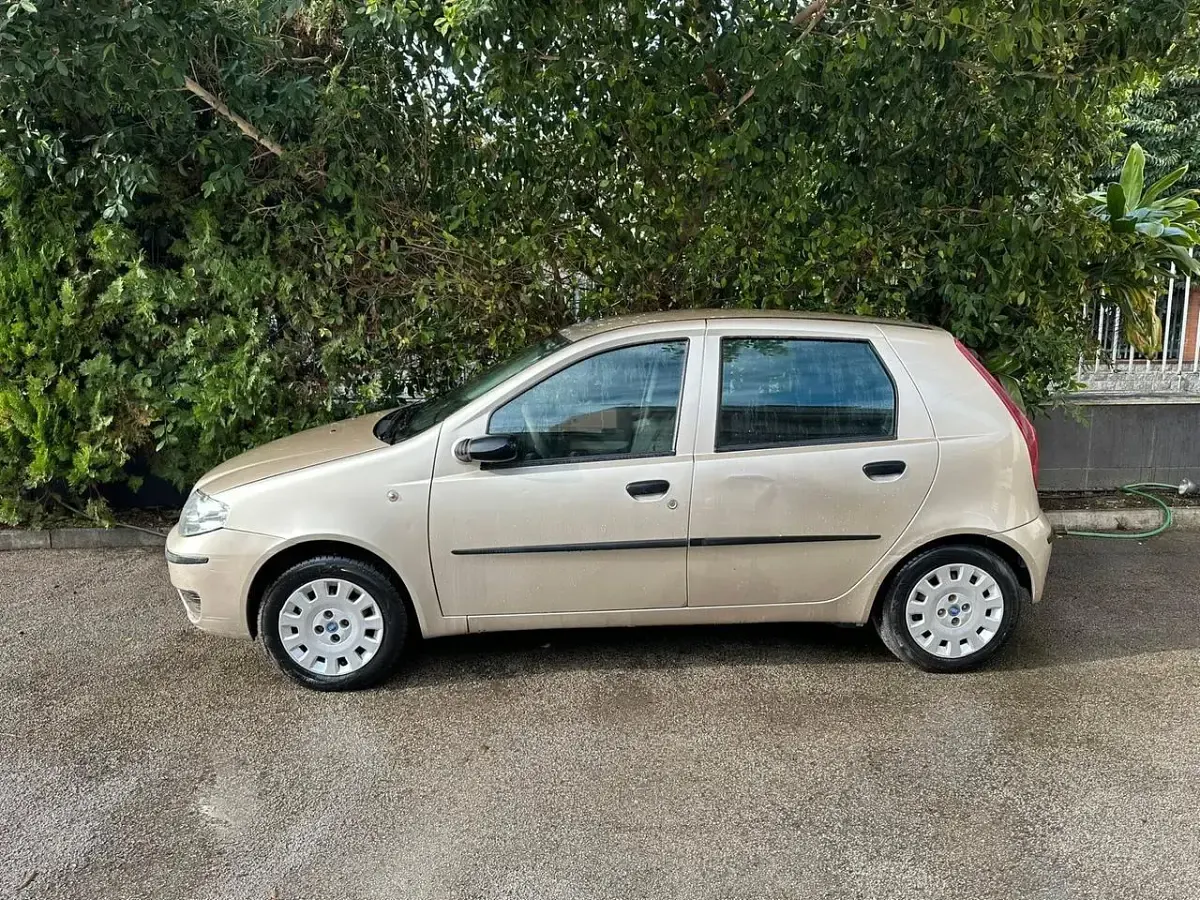 Usata Fiat Punto Active 60 CV (44 kW) 2009 Utilitaria