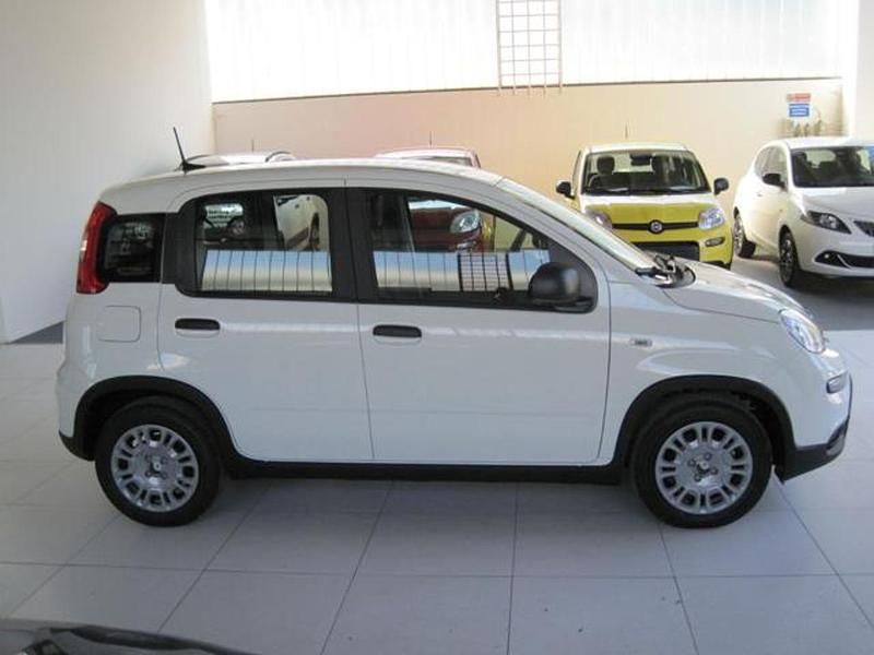 Usata Fiat Panda S 70 CV (51 kW) 2024 Bianco Utilitaria