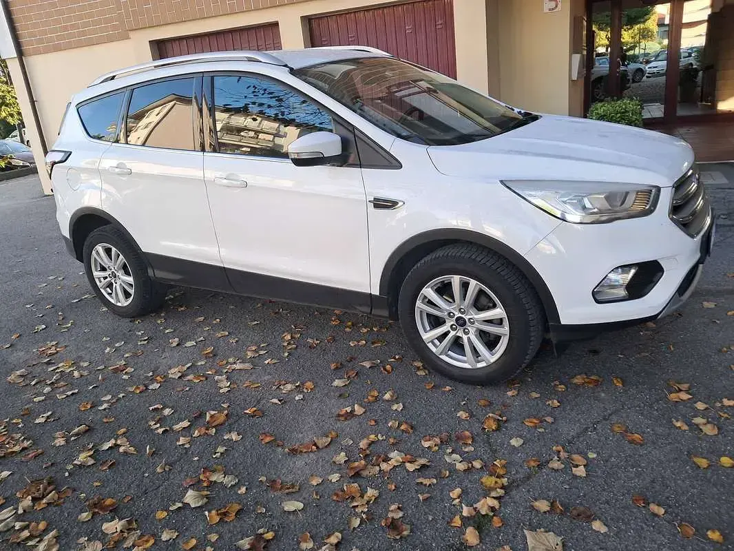 Usata Ford Kuga ST-Line 120 CV (88 kW) 2019 SUV