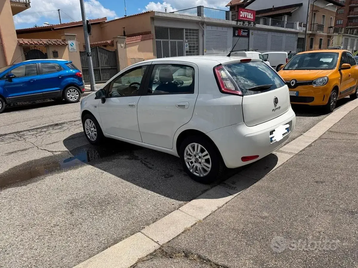 Usata Fiat Punto Evo S 77 CV (56 kW) 2013 Bianco Utilitaria