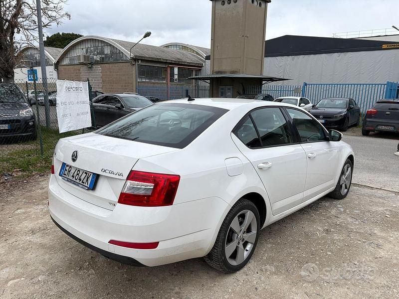 Usata Skoda Octavia Elegance 140 CV (102 kW) 2013 Bianco Berlina