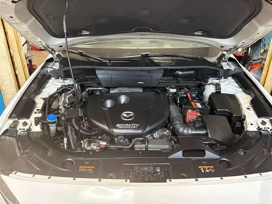 Usata Mazda CX-5 Exceed 150 CV (110 kW) 2017 Bianco SUV