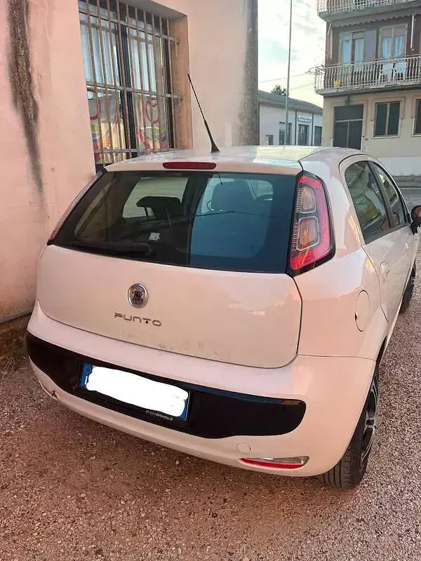 Usata Fiat Punto Evo S 75 CV (55 kW) 2011 Bianco Utilitaria