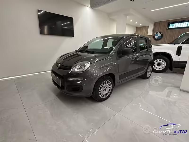 Usata Fiat Panda Easy 69 CV (50 kW) 2018 Grigio Utilitaria