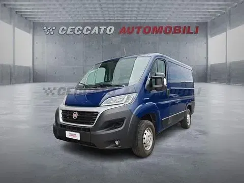 Usata Fiat Ducato 116 CV (85 kW) 2019 Furgone