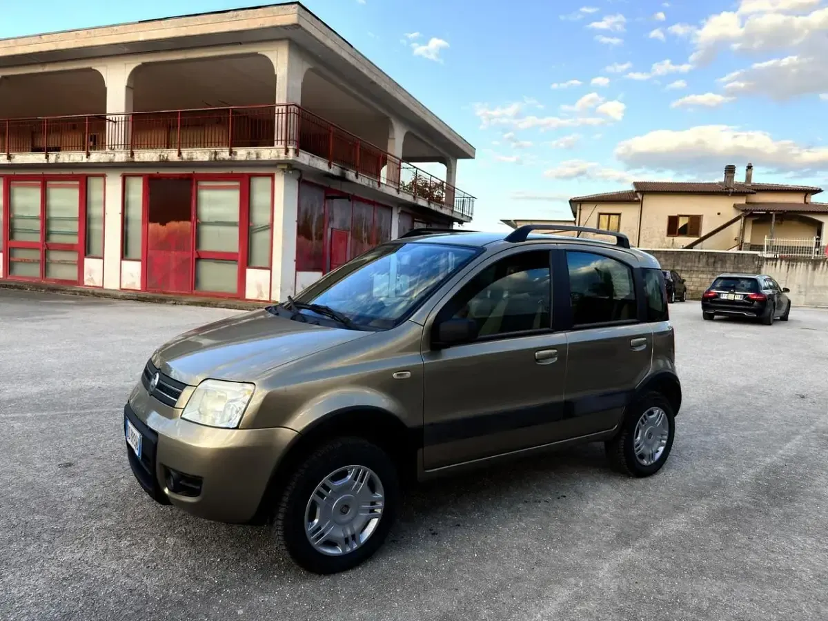 Usata Fiat Panda 4x4 Climbing 69 CV (50 kW) 2006 Utilitaria