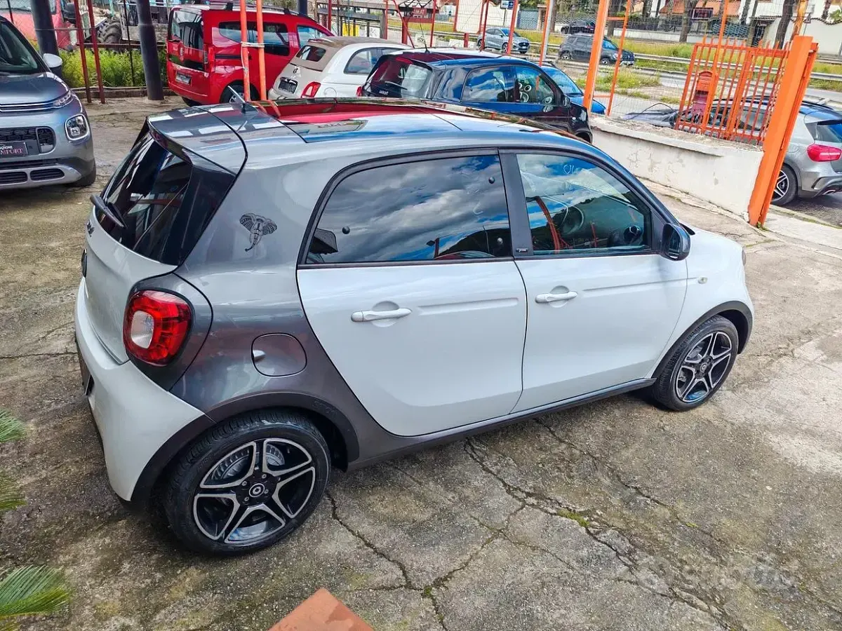 Usata Smart ForFour Prime 71 CV (52 kW) 2016 Bianco Utilitaria