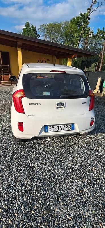 Usata Kia Picanto 67 CV (49 kW) 2015 Bianco Utilitaria