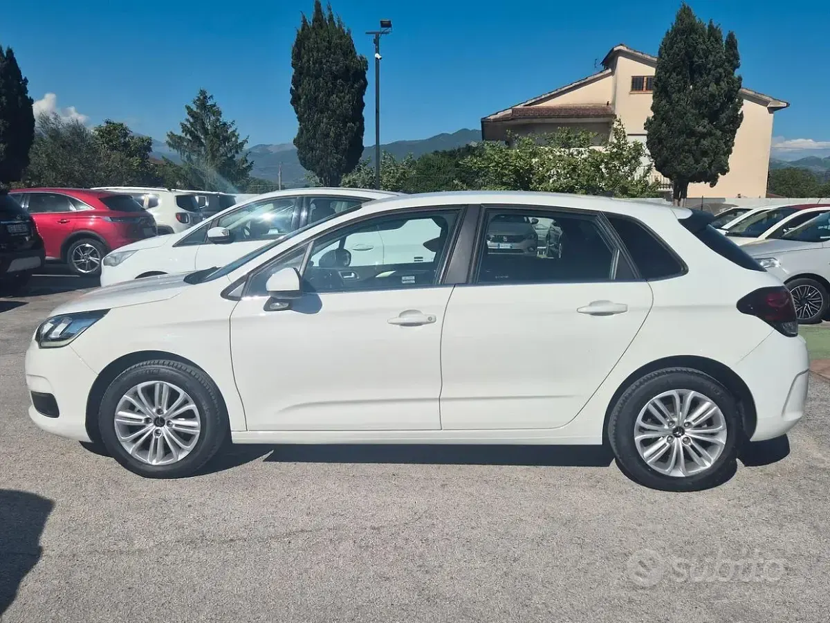 Usata Citroën C4 Feel 110 CV (80 kW) 2016 Bianco Berlina