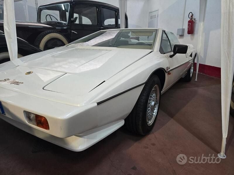 Usata Lotus Esprit 165 CV (121 kW) 1982 Bianco Coupé