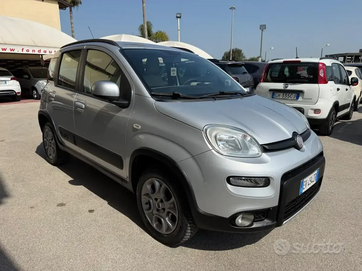 Usata Fiat Panda 4x4 S 75 CV (55 kW) 2014 Grigio Utilitaria