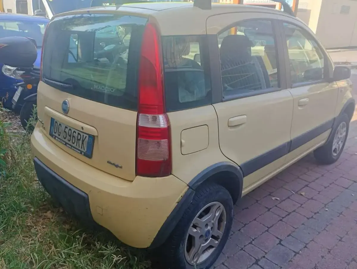 Usata Fiat Panda 4x4 Climbing 69 CV (50 kW) 2007 Giallo Utilitaria