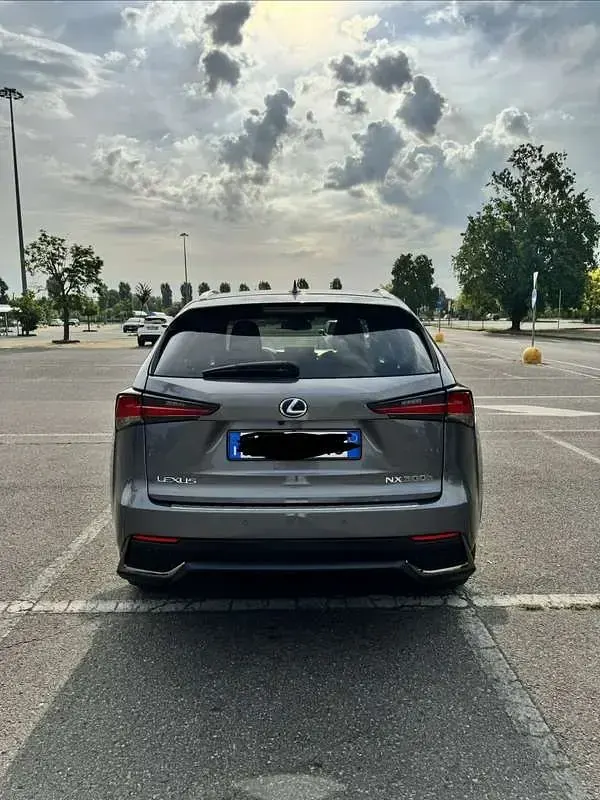 Usata Lexus NX300h Sport Line 197 CV (144 kW) 2018 SUV