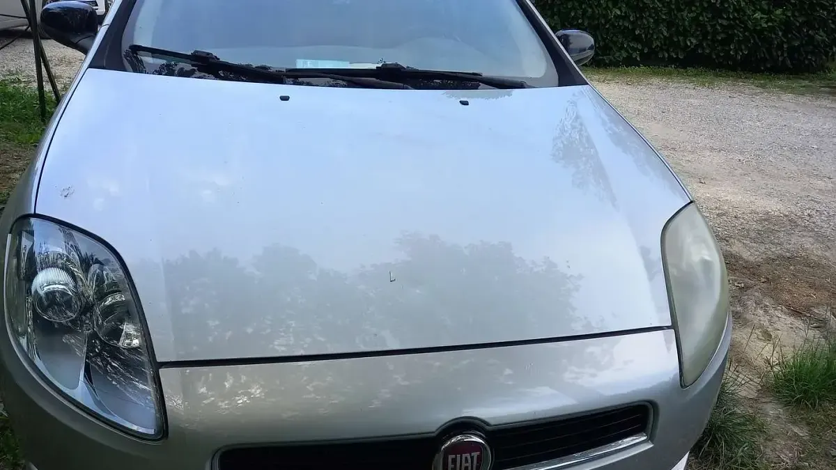 Usata Fiat Bravo Active 90 CV (66 kW) 2013 Utilitaria