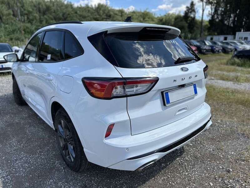 Usata Ford Kuga ST-Line 120 CV (88 kW) 2023 Bianco SUV