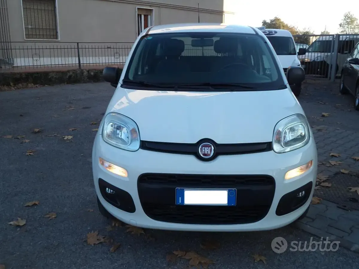 Usata Fiat Panda Lounge 70 CV (51 kW) 2019 Bianco Utilitaria